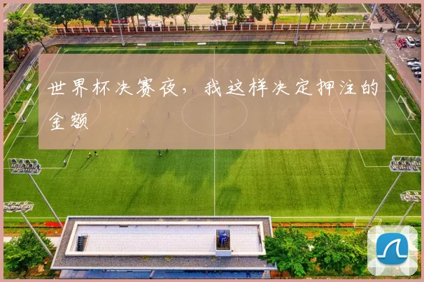 世界杯决赛夜，我这样决定押注的金额