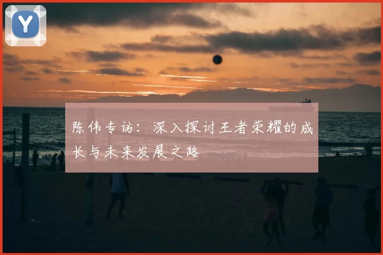 陈伟专访：深入探讨王者荣耀的成长与未来发展之路