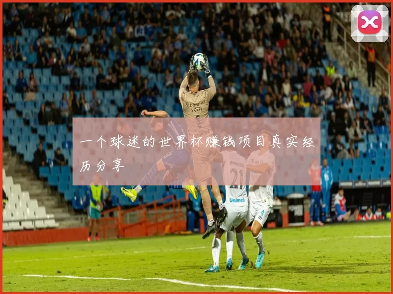 一个球迷的世界杯赚钱项目真实经历分享