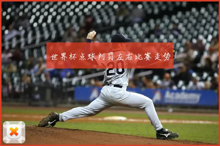 世界杯点球判罚左右比赛走势