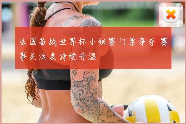 法国备战世界杯小组赛门票争夺 赛事关注度持续升温