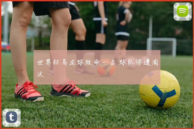 世界杯乌龙球致命一击 球队惨遭淘汰