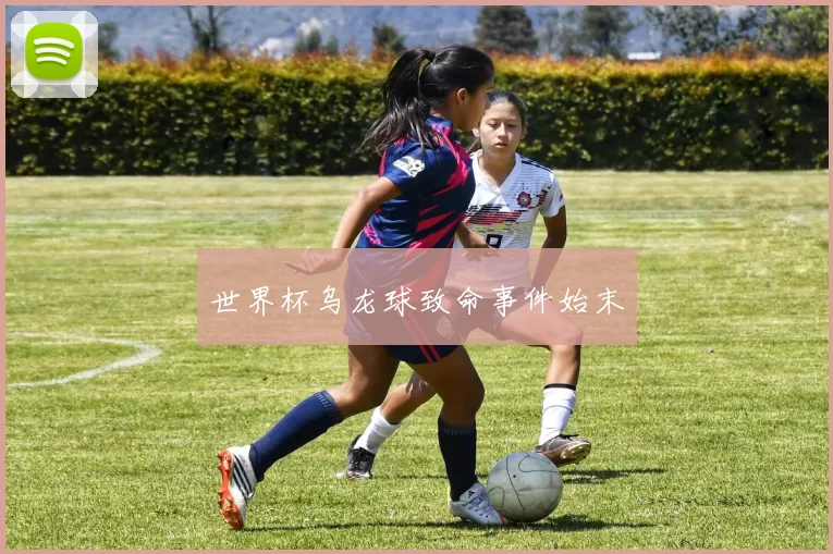 世界杯乌龙球致命事件始末