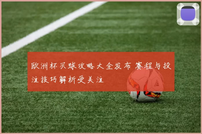 欧洲杯买球攻略大全发布 赛程与投注技巧解析受关注