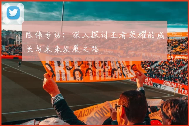陈伟专访：深入探讨王者荣耀的成长与未来发展之路