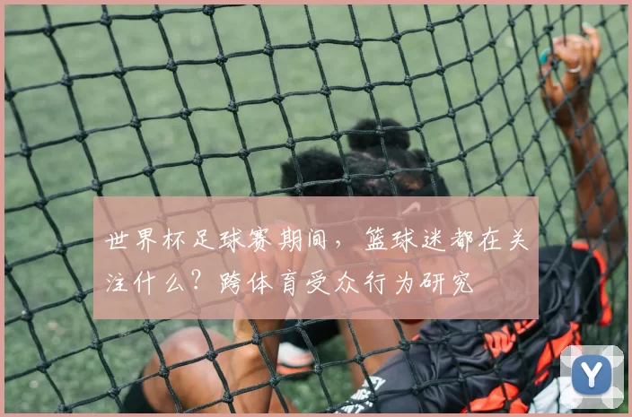 世界杯足球赛期间,篮球迷都在关注什么?跨体育受众行为研究