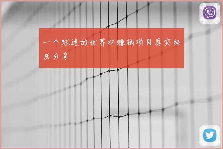 一个球迷的世界杯赚钱项目真实经历分享