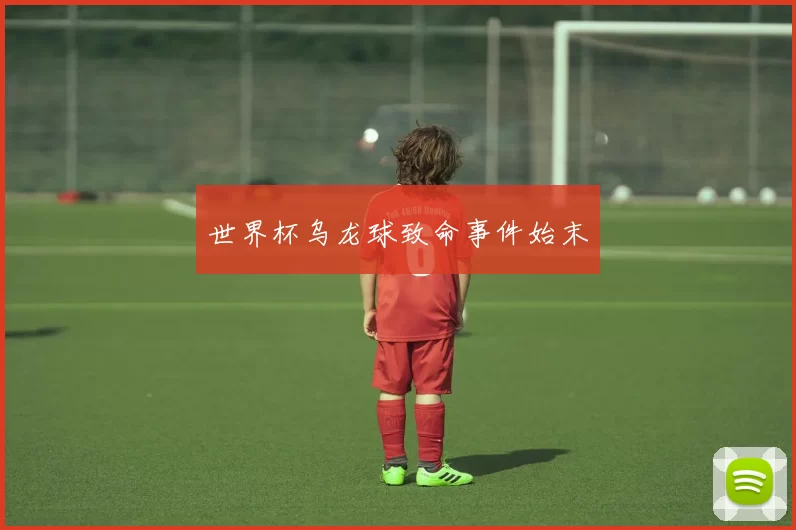 世界杯乌龙球致命事件始末