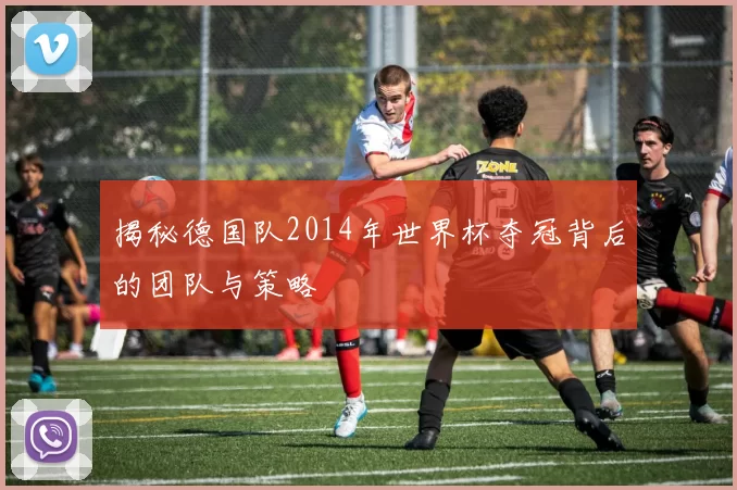 揭秘德国队2014年世界杯夺冠背后的团队与策略