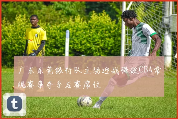 广东东莞银行队主场迎战强敌CBA常规赛争夺季后赛席位