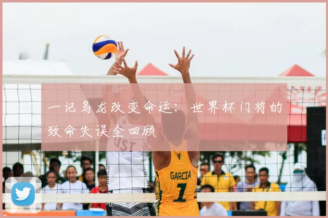 一记乌龙改变命运:世界杯门将的致命失误全回顾